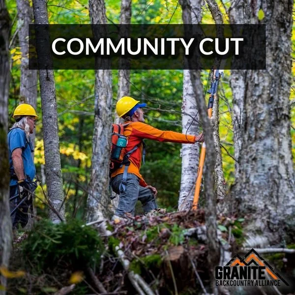 Types of Glade Days — Granite Backcountry Alliance